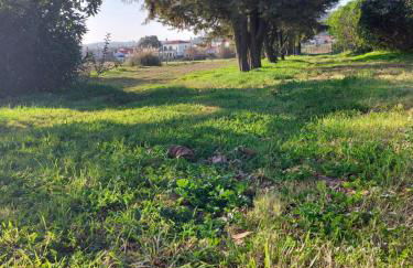 Quinta Cunte - Casa Girassol - Foto 34