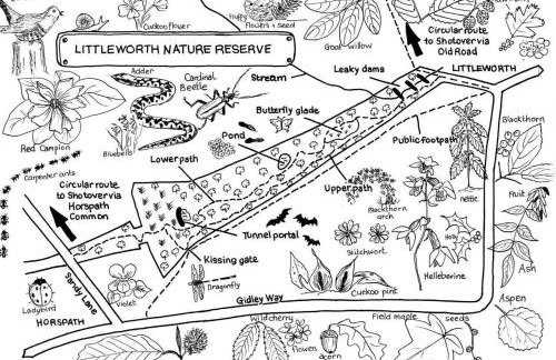 Star Gazing Dome 2 with Log Burner & Optional Hot tub - Foto 25