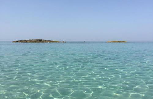 Le Rondini di mare - Foto 10