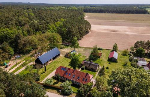 FeWo-Am-Wald - Foto 13