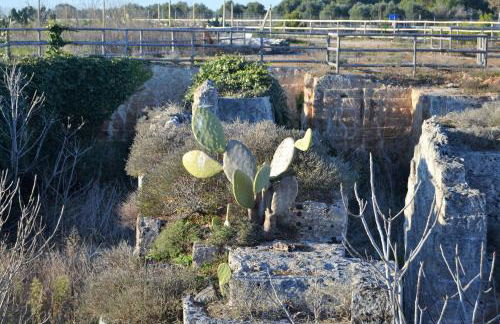 Na Chicca e na Nicchia - Foto 59