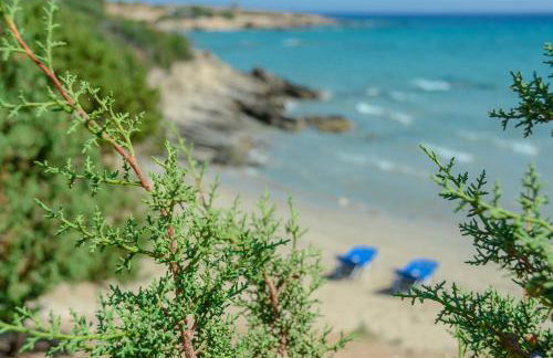 Theonis Villas - Foto 38