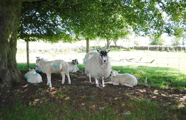 Brambles Farm Peak District Lodge - Foto 39