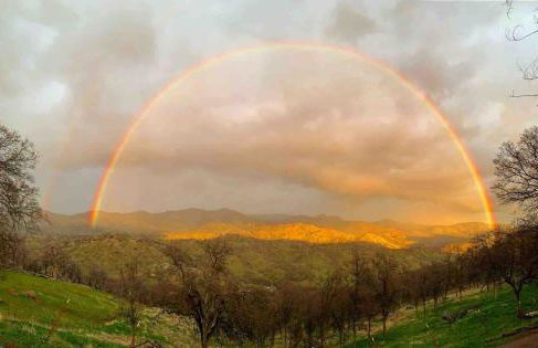 Delilah Ridge Winery Mid Mod Guesthouse - Foto 37