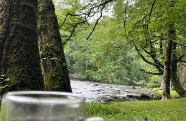 Nantahala River Luxury Escape-on the river! - Foto 74