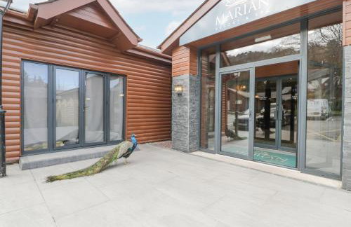 Luxury Lodge 62 - Foto 28