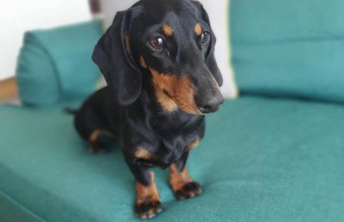 Fleet View - Foto 12