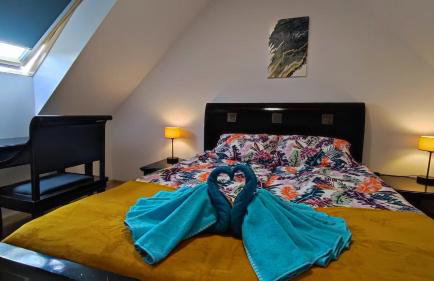 Blu Raj - domy w Sudetach - Foto 18