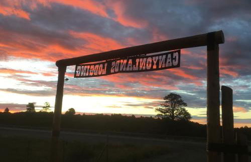 Lupine Cabin, Glamour Camping, Stunning Skies and Sunrise Views - Foto 15