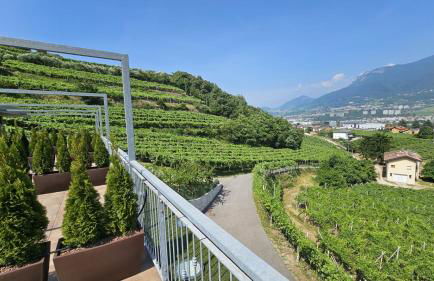 Agritur Gasadòr - Foto 26