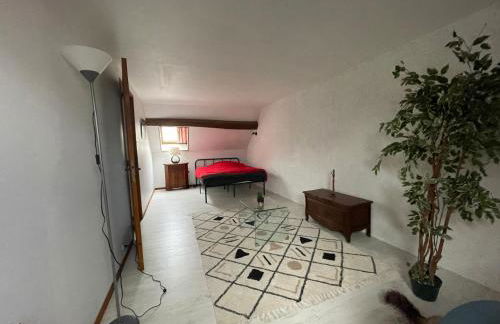 Marie Galante - Photo 5