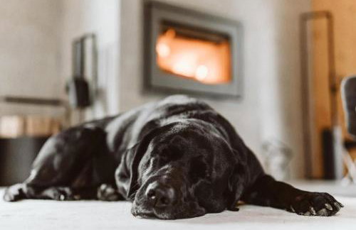 Ferienhaus TierbachLodge - Foto 43