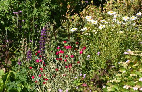 Isolda's - Ukc3905 - Photo 12