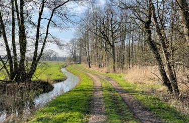 Reetdachhaus in Seenähe, Ruhige Lage, Kamin & Terrasse - Foto 41