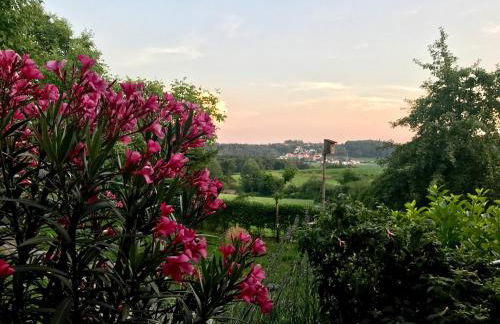 Ferienhaus Eitel - Foto 43