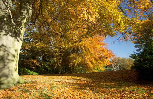 Lodge Farm - Foto 62