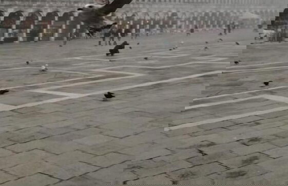 Attico San Marco Top Floor Art 70 mq - Foto 41