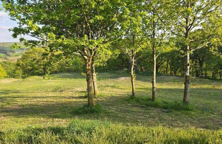 Luxury Welsh wooden cabin - Foto 70