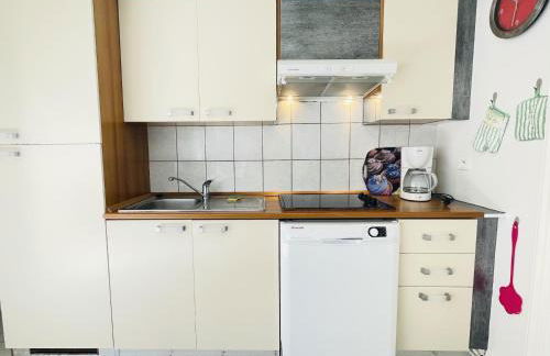 Residence Louis Le Lavoir - Foto 49