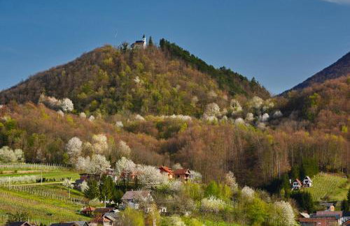 Countryside Home 39 by GREEN Croatia - Foto 22