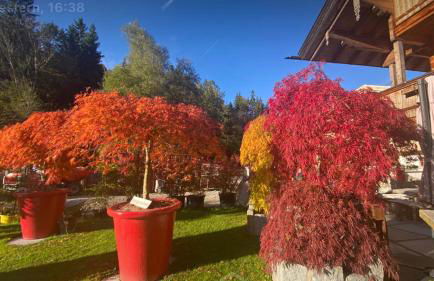 Ferienwohnungen Anni im Paradies - Foto 8