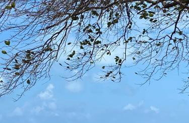 Apto litoral Sul- PB - Foto 2