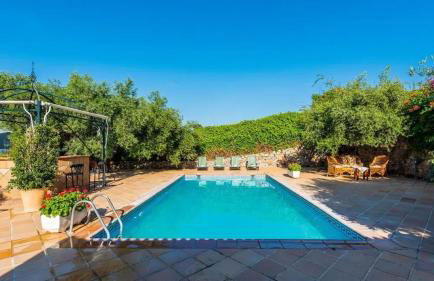 Spacious villa with private pool in Villamartin - Foto 14