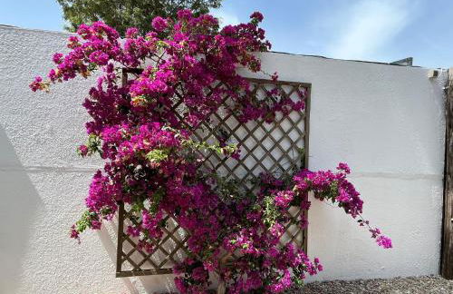 La Cabaña del Lago - Foto 9