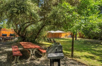 Grapevine Cottage by Avantstay Hobby Vineyard + Firepit - Foto 71