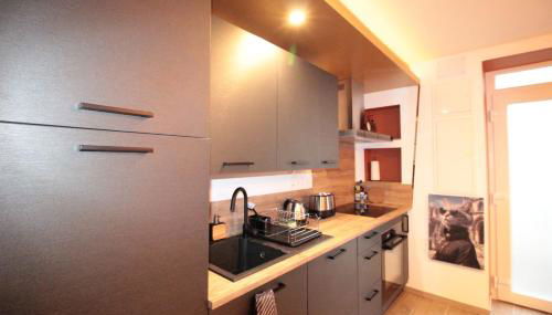 Luxury Studio, Rez de chaussée, Parking privé vidéo surveillance, Canapé haute qualité convertible couchage 2 personnes, Centre Ville proche, Restaurant, boulangerie 2 minutes à pied, Terrasse - 800mètre carré de terrain - Géré par Presta-Zen'Services - Foto 4, stove, dishwasher