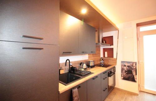 Luxury Studio, Rez de chaussée, Parking privé vidéo surveillance, Canapé haute qualité convertible couchage 2 personnes, Centre Ville proche, Restaurant, boulangerie 2 minutes à pied, Terrasse - 800mètre carré de terrain - Géré par Presta-Zen'Services - Foto 4