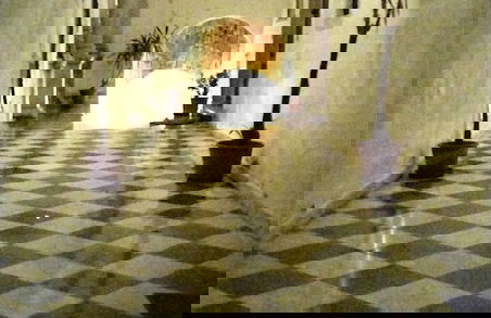 House of Artists-aquilotto - Photo 15