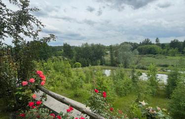 Stawowy Zakątek - Foto 8