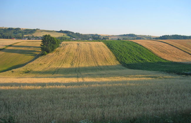 Jura dla Ciebie - Foto 37