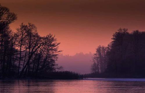 Siedlisko MiłoBrzózka - Photo 4