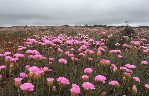 4 suites, piscine, Casa Rio-Dora by SesimbraSunSea - Foto 44
