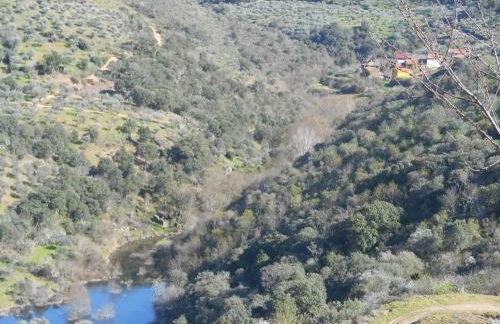 Casa do Souto - Foto 27