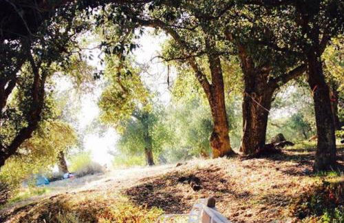 Cozy Rustic Mountain Home with Breathtaking views - Foto 40