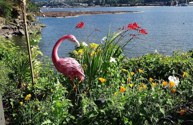 Suite at Trails End Beach House - Photo 23