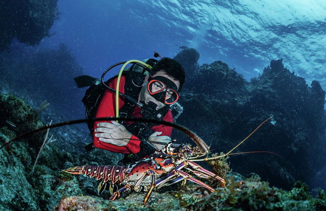 Chalet in Zeeland With Sauna by the Water - Foto 33