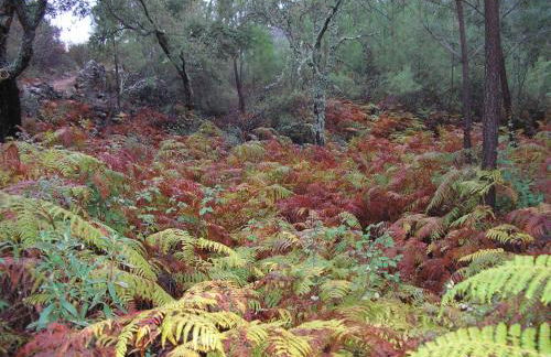Casa Rural Sierra San Mamede - Foto 44
