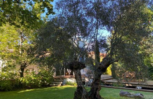 L'Esprit d'O - Foto 8