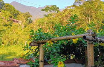 Casa da Flor - Photo 21