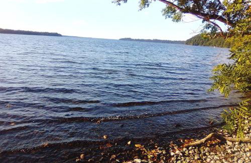 Raben Steinfeld Forststrasse Am Residence-Park - Foto 31