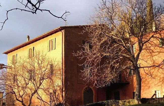 Il Giardino di Daniel Spoerri - Foto 49