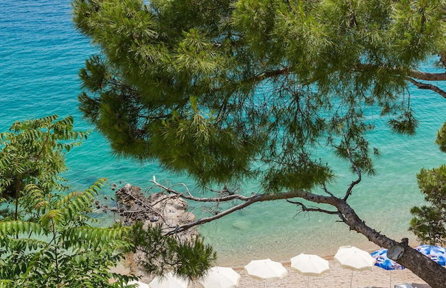 House Karlo - Foto 48