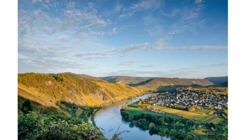 Ferienweingut Lütz - Foto 5