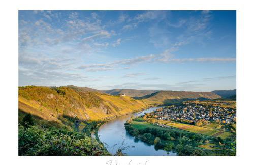 Ferienweingut Lütz - Foto 5