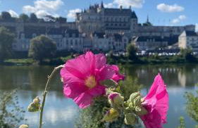 La Léonard île au coeur de l île d or logement avec chambre climatisée - Foto 10