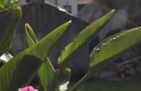 Casa Vacanze Fontanelle - Photo 31